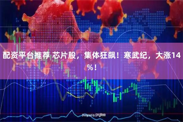 配资平台推荐 芯片股，集体狂飙！寒武纪，大涨14%！