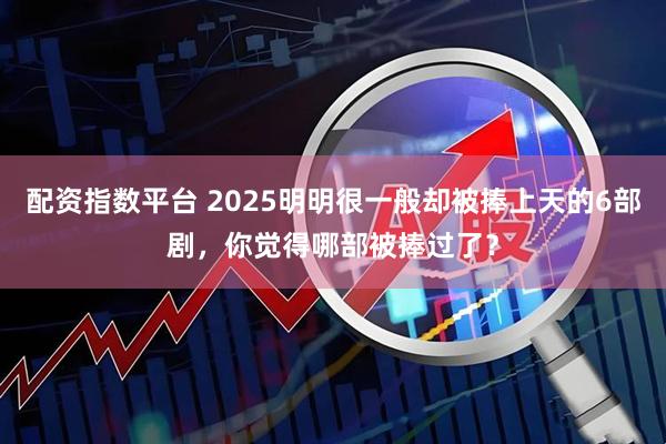 配资指数平台 2025明明很一般却被捧上天的6部剧，你觉得哪部被捧过了？