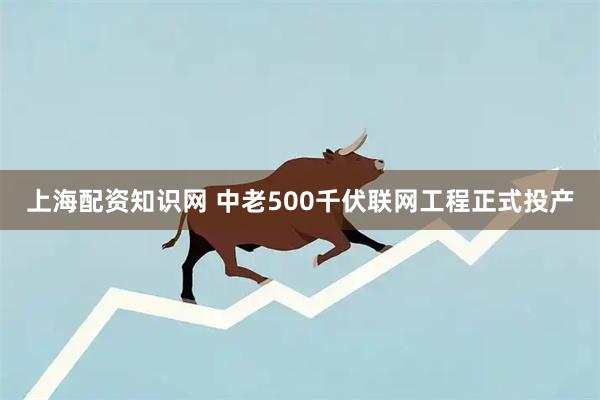 上海配资知识网 中老500千伏联网工程正式投产